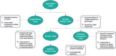 Genetics in parkinson’s disease: From better disease understanding to machine learning based precision medicine